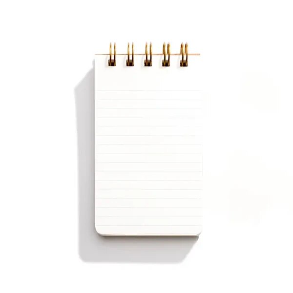 Shorthand Press Reporter Notebook in Warm Red